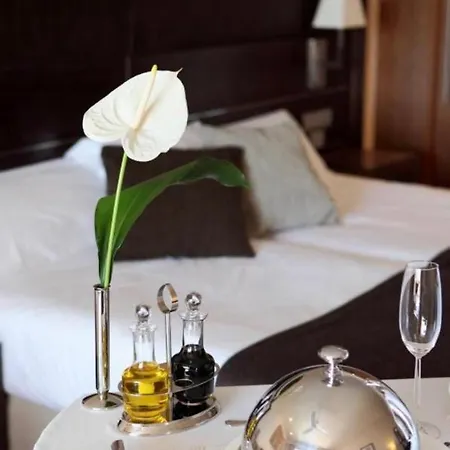 Gryf Deluxe Διαμέρισμα Στσέτσιν