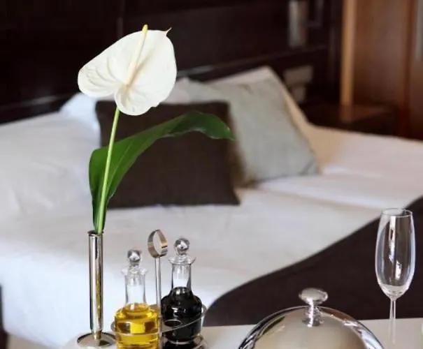 Gryf Deluxe Διαμέρισμα Στσέτσιν